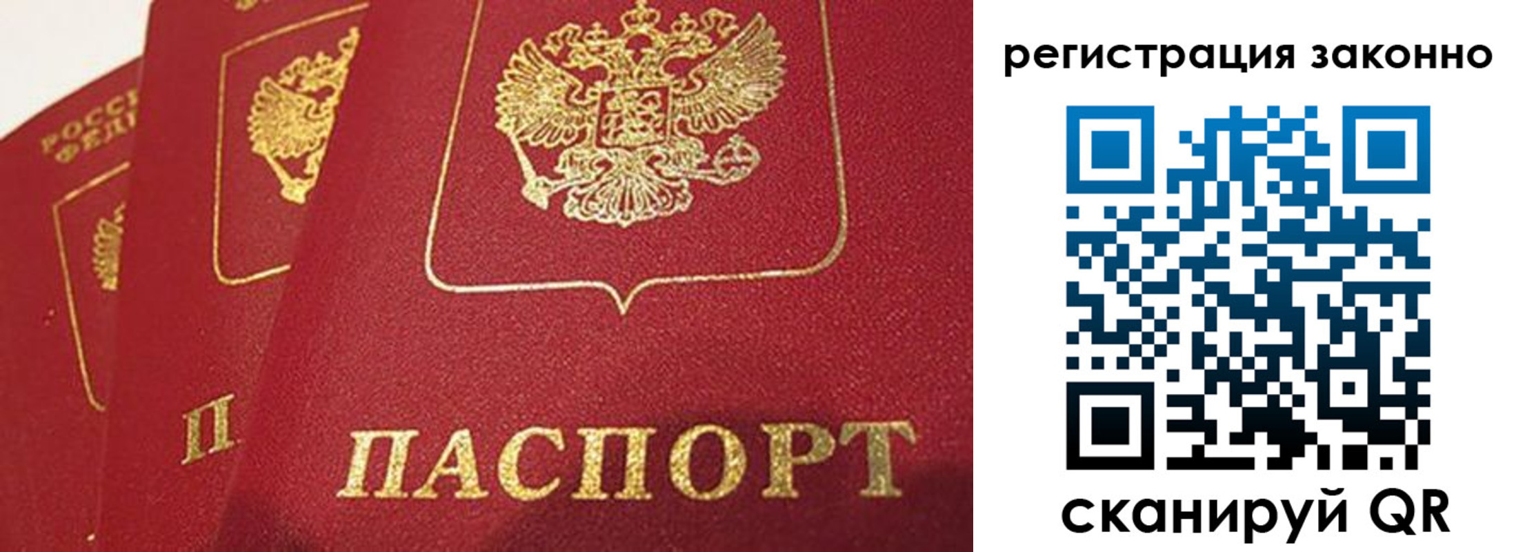 временная регистрация госуслуги в Павловске